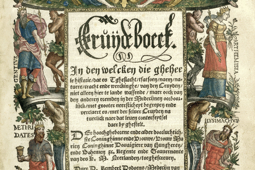 Afbeelding van Dodoens Cruijdeboeck van Arnaud Nicolaï uit de collectie van het Rijksmuseum Amsterdam. Het kruidboek van Rembert Dodoens, getiteld: Cruijdeboeck. Het boek is versierd met 7 titelpagina's en 715 voorstellingen van planten en kruiden. Daarbij initialen en andere ornamenten in houtsnede. Alle houtsnedes zijn met de hand ingekleurd door Hans Liefrinck de jonge. Leren band met voorin en achterin een schutblad.