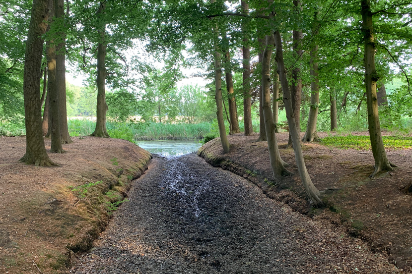 Afbeelding van drooggevallen sloot bij 'Kasteelbos Renswoude' met aan weerszijden bomenrijen